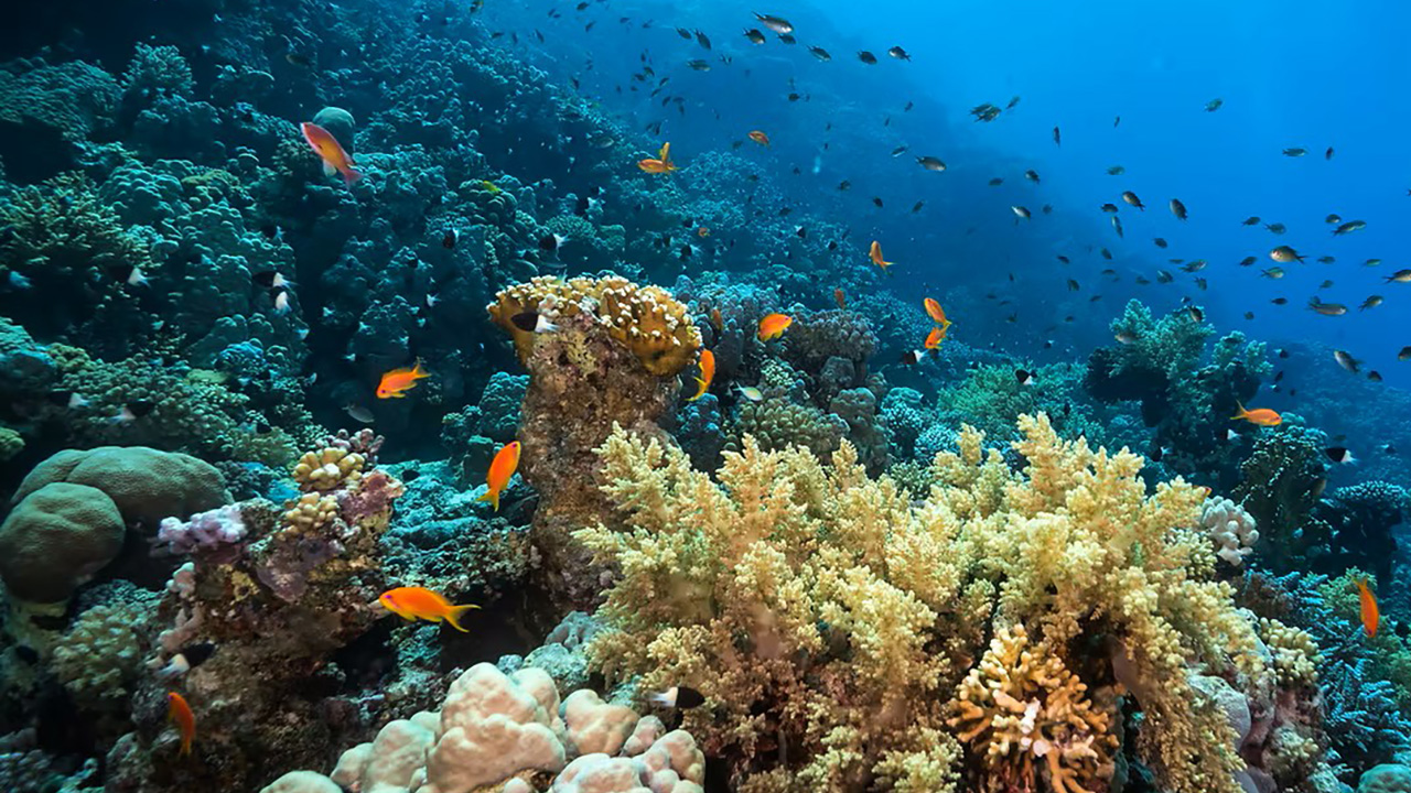 260917.1